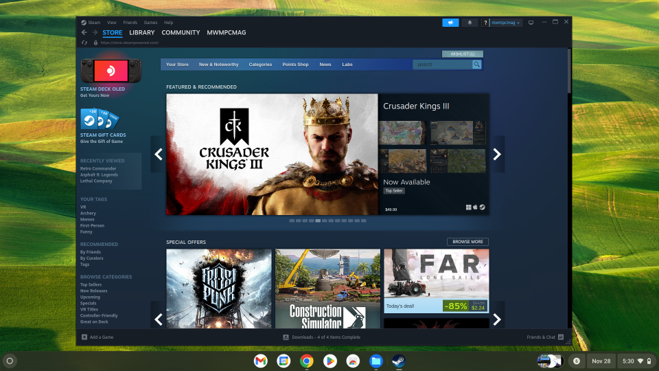 Steam on Chromebook